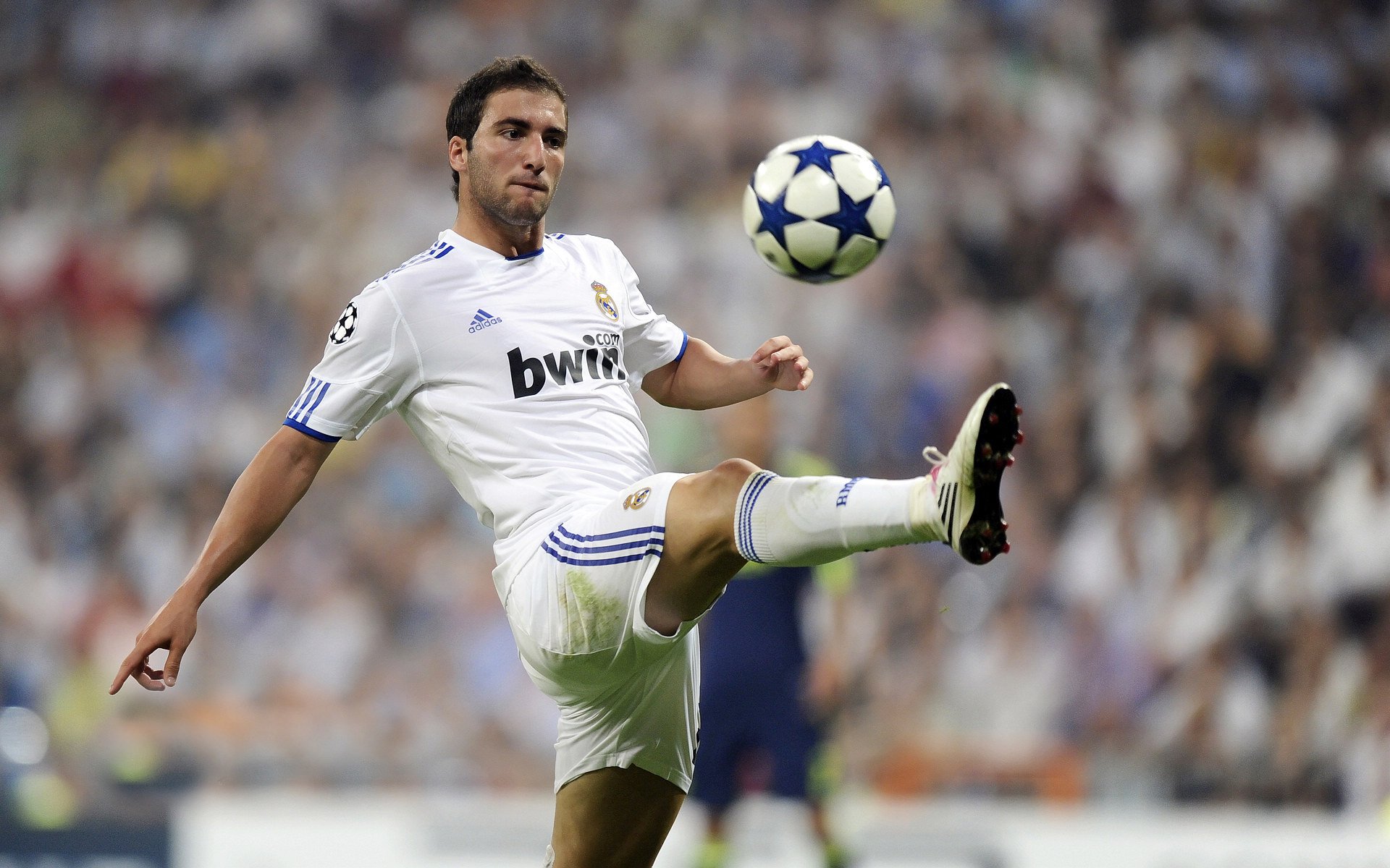 中国足球青训基地配备多语种讲解系统，中国足球青训体系是什么