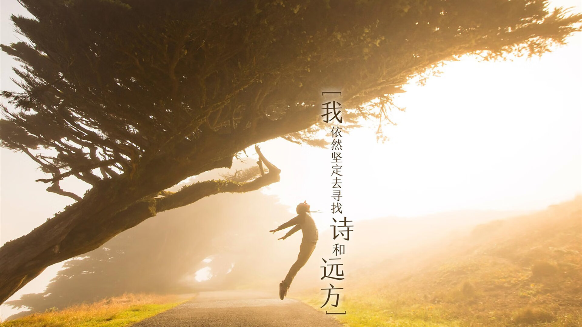 Kaiyun(中国)开云-中国篮球战术体系融合国际元素升级，中国篮球如何发展