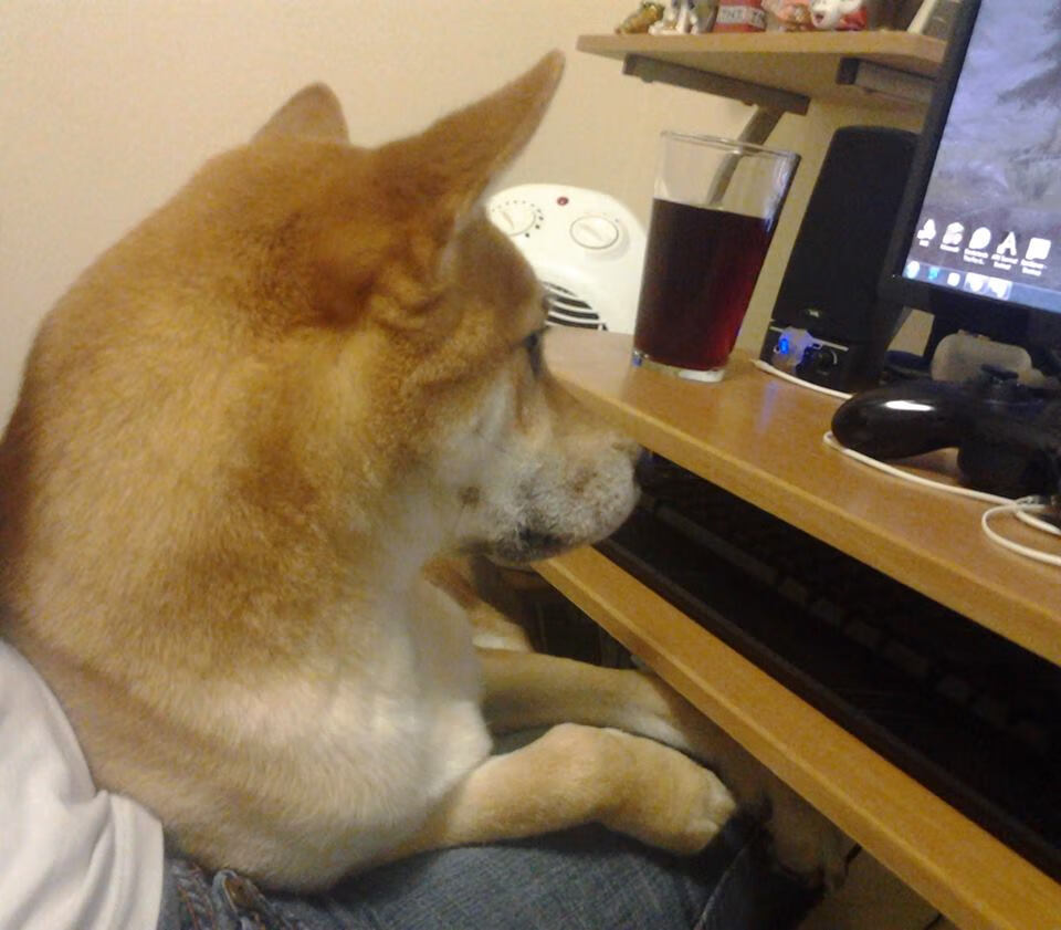 kaiyun官方入口登录-传承与创新：某球队百年荣耀的故事，足球传承宣言