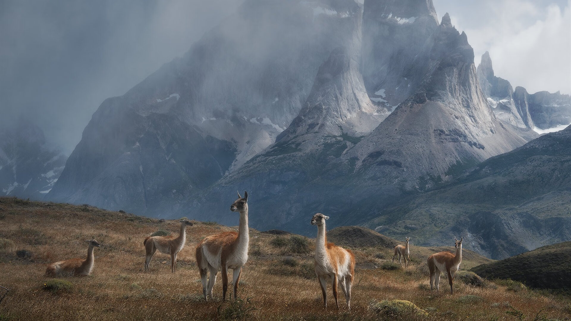 史上最激烈的季后赛“高光瞬间”,你都看过几场?,季后赛经典比赛